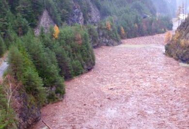 Maltempo, boschi scomparsi a Belluno. Caduti oltre 14 milioni di alberi