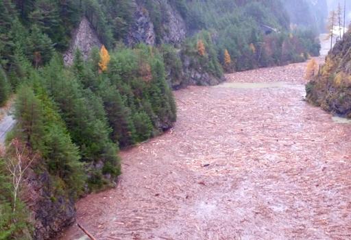 Maltempo, boschi scomparsi a Belluno. Caduti oltre 14 milioni di alberi Maltempo, boschi scomparsi a Belluno. Caduti oltre 14 milioni di alberi