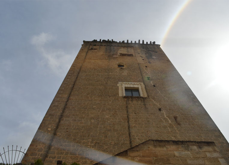 Galleria foto 'Il Salento brinda all’estate di San Martino con un bicchiere di Novello' - foto 2