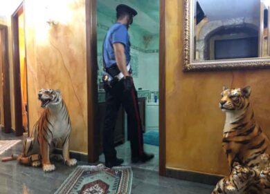 Salvini: “Il 26 novembre abbattiamo con la ruspa la villa dei Casamonica”