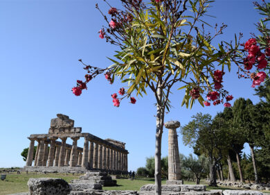L’archeologia mondiale in mostra a Paestum alla XXIesima edizione della Bmta