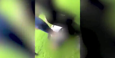 Gb, video choc: fratellini siriani bullizzati a scuola
