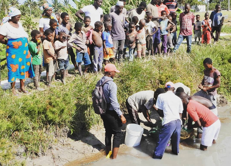 Mozambico, Icei porta l’agricoltura sostenibile contro i cambiamenti climatici Mozambico, Icei porta l’agricoltura sostenibile contro i cambiamenti climatici