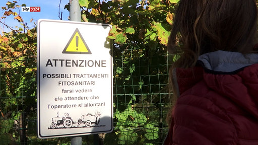 Sky TG24 “Un piatto di salute – Atto secondo”: nuova inchiesta sui rischi dell’alimentazione Sky TG24 “Un piatto di salute – Atto secondo”: nuova inchiesta sui rischi dell’alimentazione
