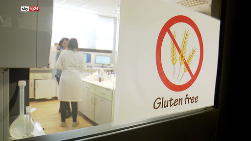 Sky TG24 “Un piatto di salute – Atto secondo”: nuova inchiesta sui rischi dell’alimentazione Sky TG24 “Un piatto di salute – Atto secondo”: nuova inchiesta sui rischi dell’alimentazione