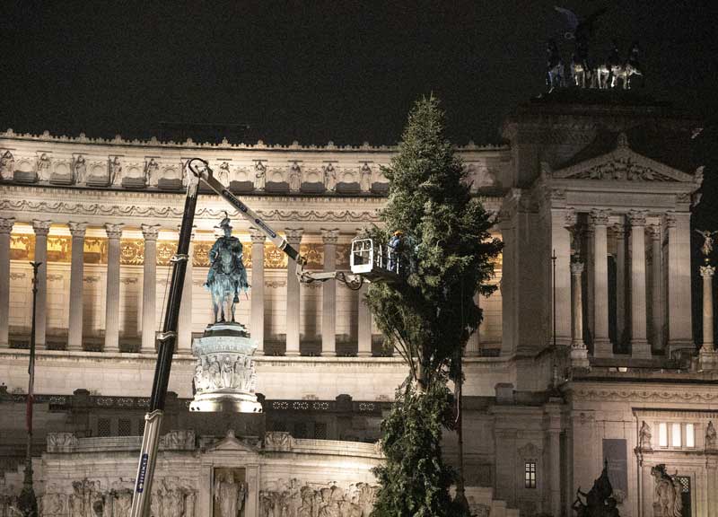 Spelacchio diventa “Speraggio”. Raggi gli “darà  fuoco” l’8 dicembre