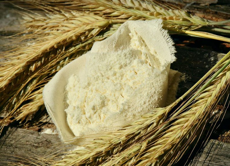 Celiachia novità ricerca: scoperta molecola per la cura della celiachia Celiachia novità ricerca: scoperta molecola per la cura della celiachia