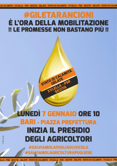 Puglia, arrivano i gilet arancioni. Da lunedì protesta degli agricoltori