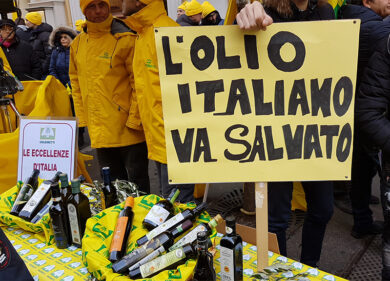 Aprol, dimezzata la produzione di olio. Coldiretti: difendere il Made in Italy