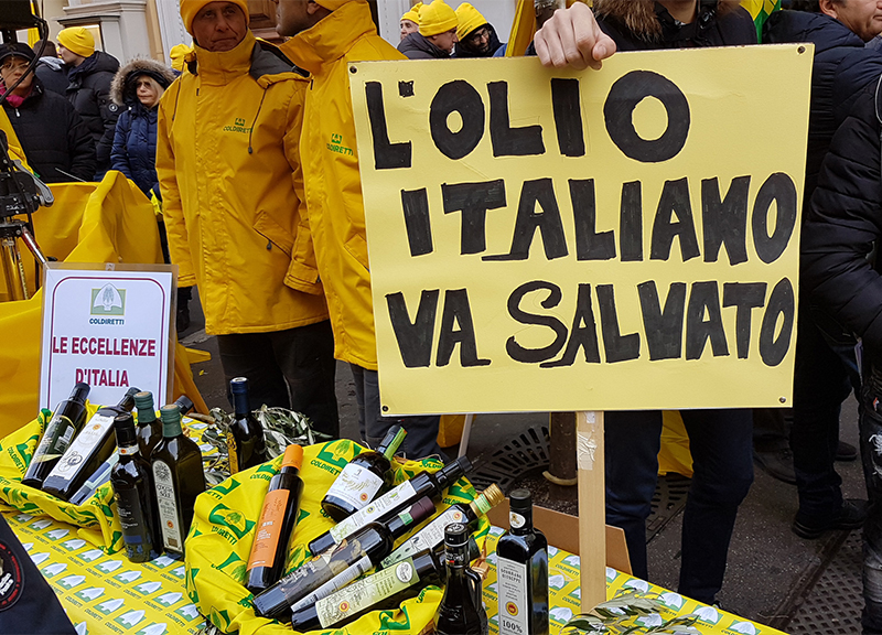 Aprol, dimezzata la produzione di olio. Coldiretti: difendere il Made in Italy Aprol, dimezzata la produzione di olio. Coldiretti: difendere il Made in Italy
