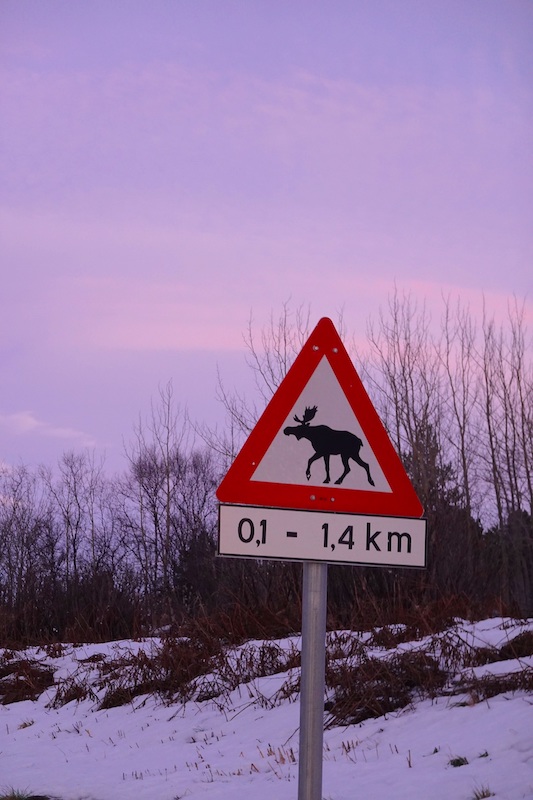 Citroen C5 Aircross 71° N Limited Edition,  missione compiuta