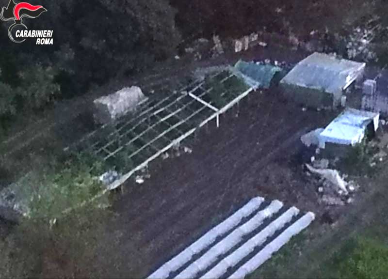 Schiavi di un bengalese, 11 ore al giorno al lavoro nei campi: preso caporale Schiavi di un bengalese, 11 ore al giorno al lavoro nei campi: preso caporale