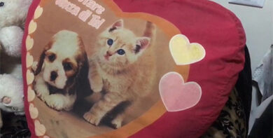 Nella stanza di Pamela Mastropietro: il video di Affari