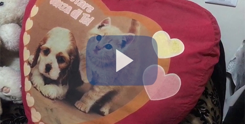 stanza pamela mastropietro7 stanza pamela mastropietro7