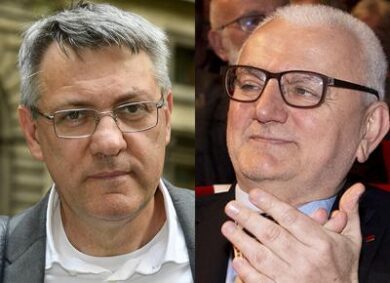 Reddito, Damiano: “Il referendum? Idiozia. Pd voti sì dopo gli emendamenti”