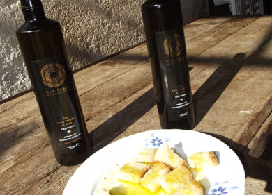 L’Oro di Caiazzo, l’eccellenza genetica dell’olivo che si tramanda da secoli