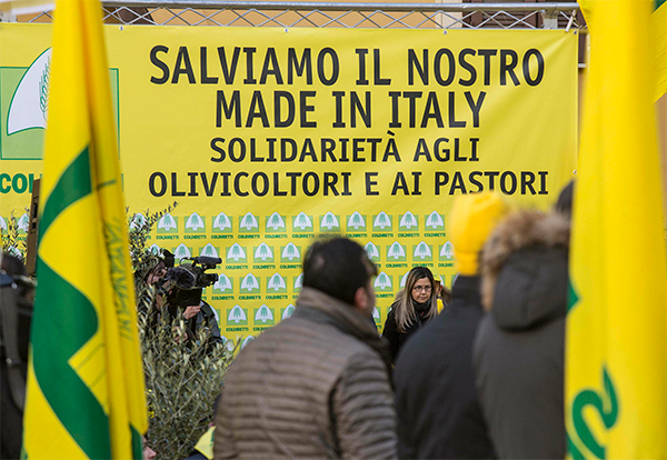 Latte: Conte convoca i pastori. Salvini: “Soluzione entro 48 ore” Latte: Conte convoca i pastori. Salvini: “Soluzione entro 48 ore”