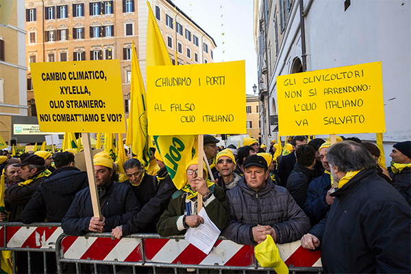 Latte: Conte convoca i pastori. Salvini: “Soluzione entro 48 ore” Latte: Conte convoca i pastori. Salvini: “Soluzione entro 48 ore”
