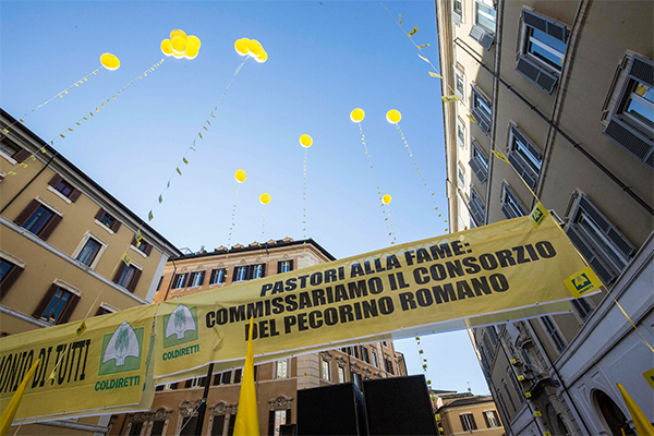 Latte: Conte convoca i pastori. Salvini: “Soluzione entro 48 ore” Latte: Conte convoca i pastori. Salvini: “Soluzione entro 48 ore”