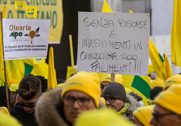 Latte: Conte convoca i pastori. Salvini: “Soluzione entro 48 ore” Latte: Conte convoca i pastori. Salvini: “Soluzione entro 48 ore”