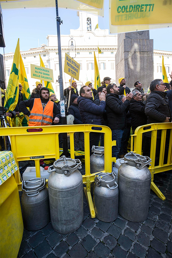 Latte: Conte convoca i pastori. Salvini: “Soluzione entro 48 ore” Latte: Conte convoca i pastori. Salvini: “Soluzione entro 48 ore”