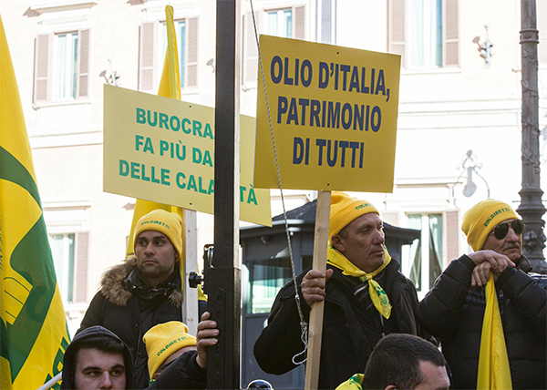 Latte: Conte convoca i pastori. Salvini: “Soluzione entro 48 ore” Latte: Conte convoca i pastori. Salvini: “Soluzione entro 48 ore”