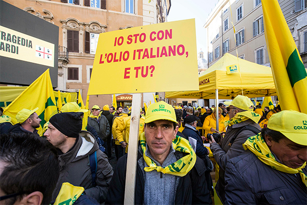 Latte: Conte convoca i pastori. Salvini: “Soluzione entro 48 ore” Latte: Conte convoca i pastori. Salvini: “Soluzione entro 48 ore”