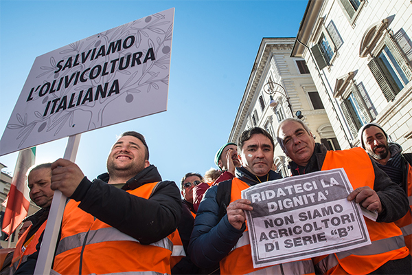 Gilet arancioni in piazza. Centinaio, Xylella: “I soldi ci sono, si parte”