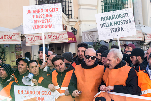 Gilet arancioni in piazza. Centinaio, Xylella: “I soldi ci sono, si parte”