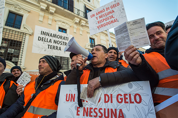 Gilet arancioni in piazza. Centinaio, Xylella: “I soldi ci sono, si parte”