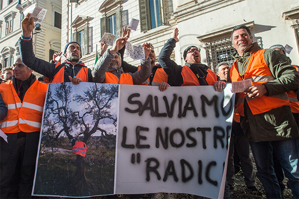 Gilet arancioni in piazza. Centinaio, Xylella: “I soldi ci sono, si parte”