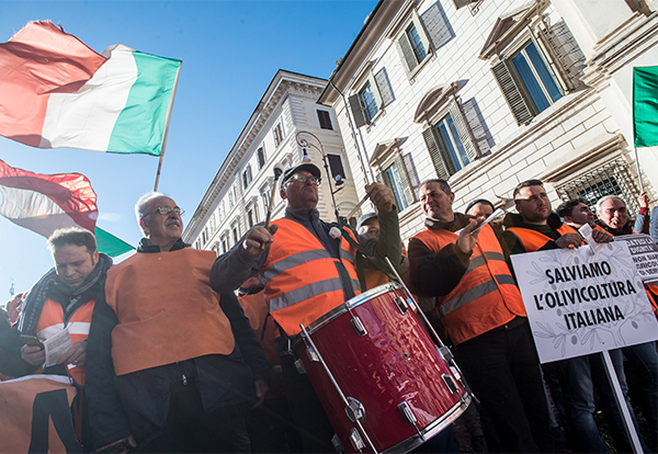 Gilet arancioni in piazza. Centinaio, Xylella: “I soldi ci sono, si parte”