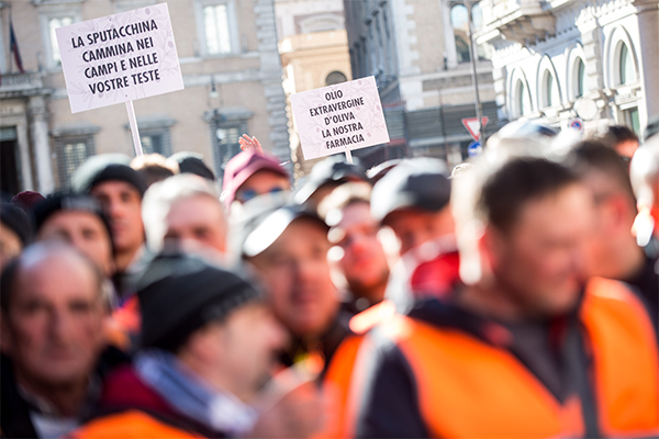Gilet arancioni in piazza. Centinaio, Xylella: “I soldi ci sono, si parte”