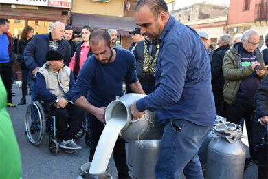 Protesta latte: tavolo con Centinaio, ipotesi accordo 72 centesimi al litro