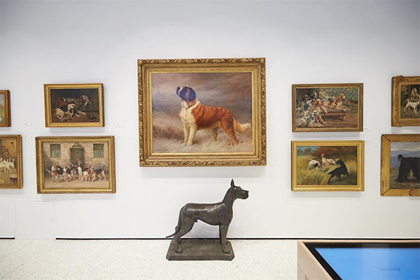 New York, riapre il nuovo ‘Museo del cane’ New York, riapre il nuovo ‘Museo del cane’
