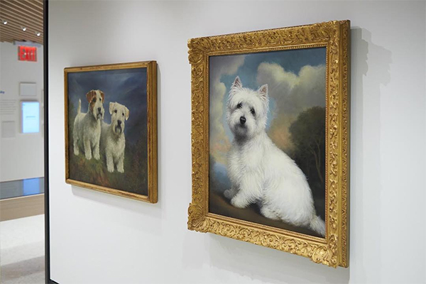 New York, riapre il nuovo ‘Museo del cane’ New York, riapre il nuovo ‘Museo del cane’