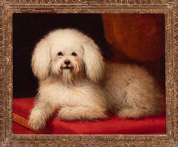 New York, riapre il nuovo ‘Museo del cane’ New York, riapre il nuovo ‘Museo del cane’