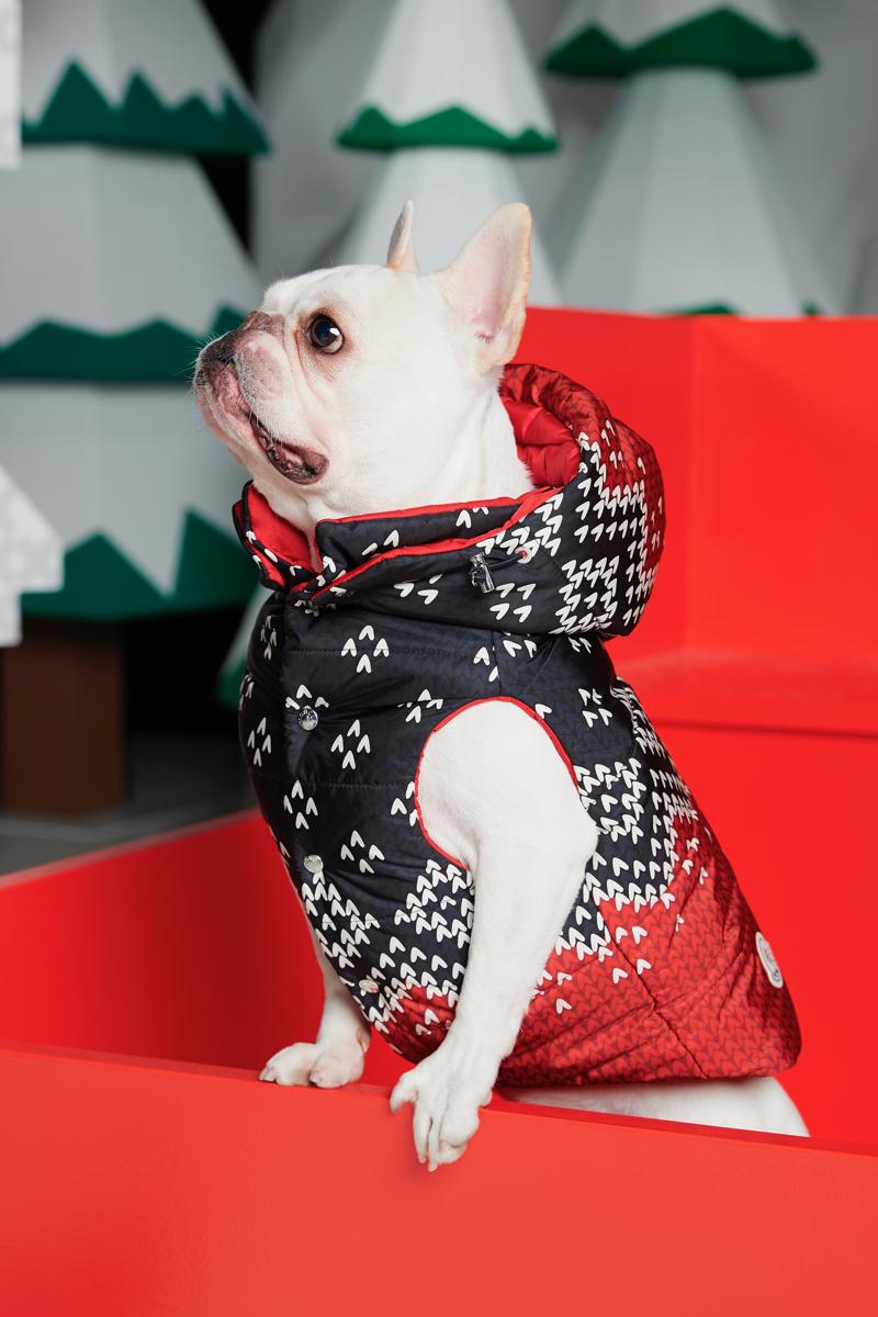 MFW. Moncler, Gucci e Canu (tra gli emergenti) al top MFW. Moncler, Gucci e Canu (tra gli emergenti) al top