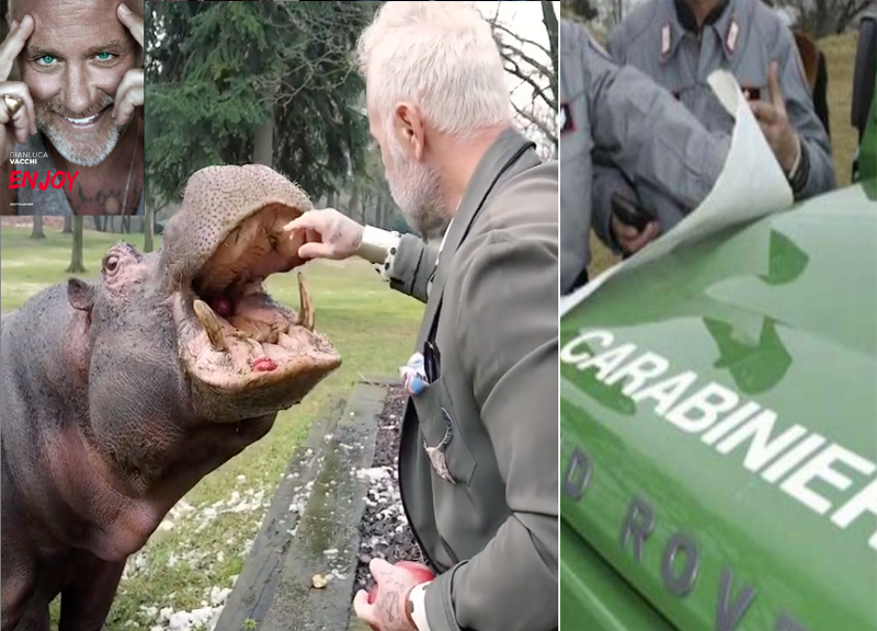 Galleria foto 'Gianluca Vacchi ha un ippopotamo in giardino: i carabinieri aprono un’indagine' - foto 1