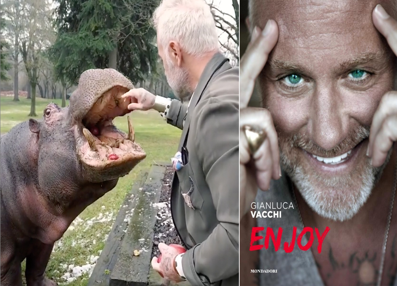 VAcchi ippopotamo VAcchi ippopotamo
