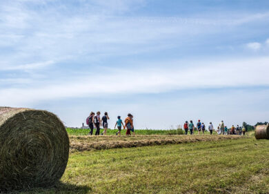 L’arte del cammino, le antiche vie di pellegrinaggio tra Friuli e Carinzia