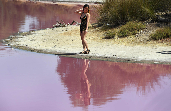 Australia, il lago di Westgate Park cambia colore: 50 sfumature di rosa. FOTO Australia, il lago di Westgate Park cambia colore: 50 sfumature di rosa. FOTO