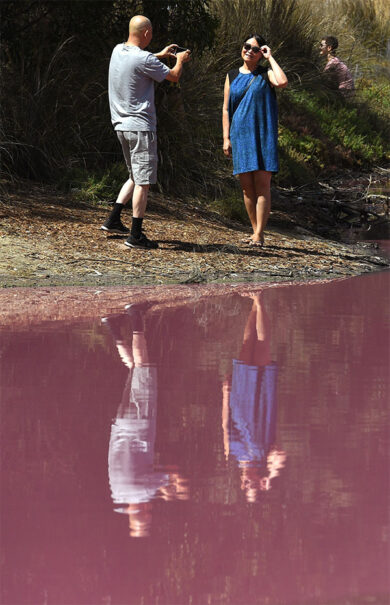 Australia, il lago di Westgate Park cambia colore: 50 sfumature di rosa. FOTO
