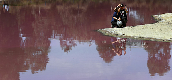 Australia, il lago di Westgate Park cambia colore: 50 sfumature di rosa. FOTO Australia, il lago di Westgate Park cambia colore: 50 sfumature di rosa. FOTO