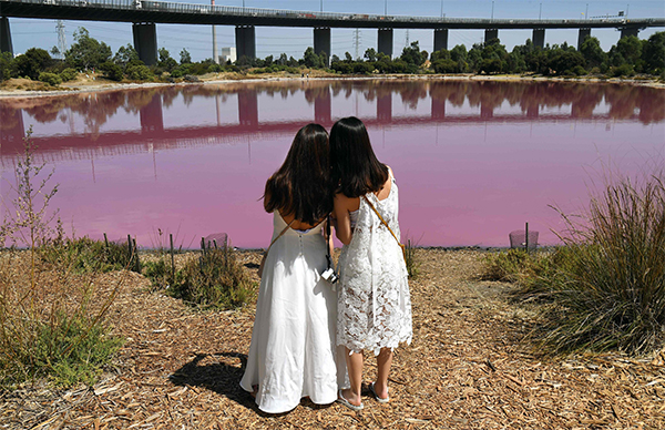 Australia, il lago di Westgate Park cambia colore: 50 sfumature di rosa. FOTO Australia, il lago di Westgate Park cambia colore: 50 sfumature di rosa. FOTO