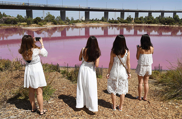 Australia, il lago di Westgate Park cambia colore: 50 sfumature di rosa. FOTO Australia, il lago di Westgate Park cambia colore: 50 sfumature di rosa. FOTO