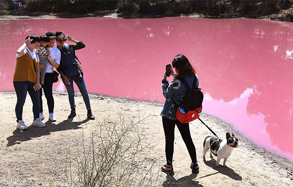 Australia, il lago di Westgate Park cambia colore: 50 sfumature di rosa. FOTO Australia, il lago di Westgate Park cambia colore: 50 sfumature di rosa. FOTO