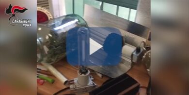 Nella casa ai Parioli una serra di marijuana. Produzione e spaccio: arrestato