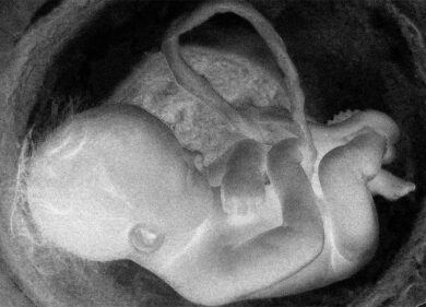 Achille Lauro, svolta Instagram: da “La fine” a “La Genesi”