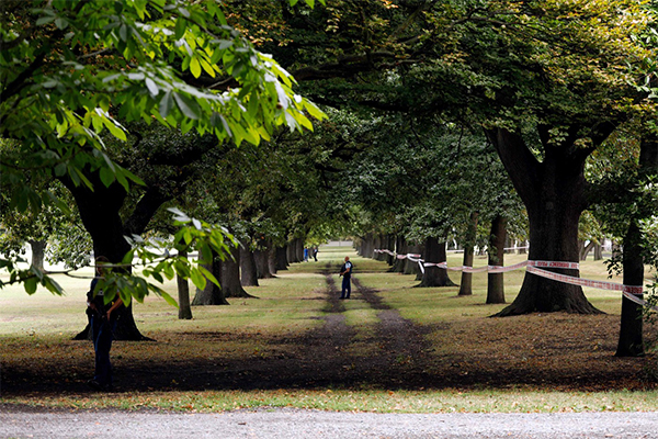 Attentato Nuova Zelanda, 49 morti in 2 moschee. “Ispirati a Luca Traini” Attentato Nuova Zelanda, 49 morti in 2 moschee. “Ispirati a Luca Traini”